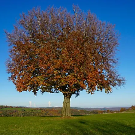 Appartement Ferienapartment Christine Simmerath