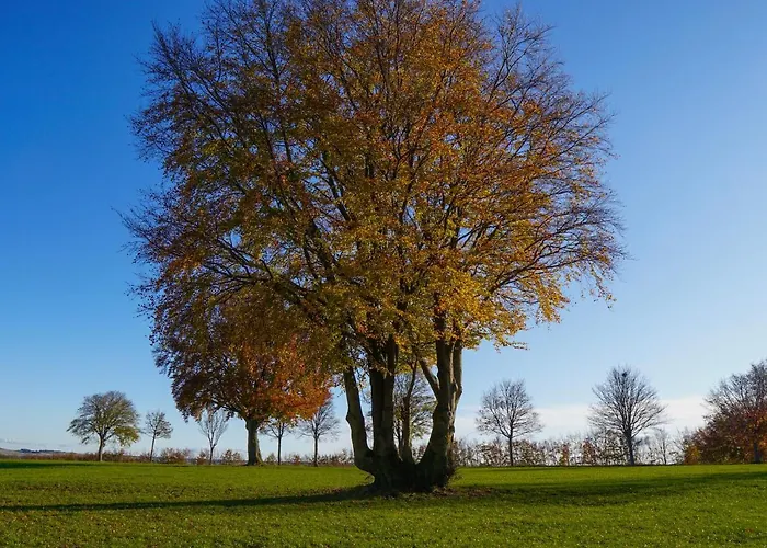 Apartamento Ferienapartment Christine