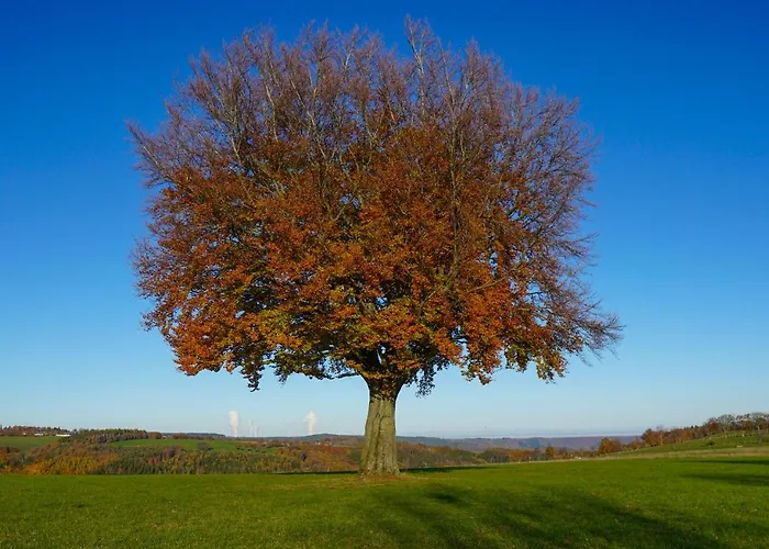 Apartamento Ferienapartment Christine Simmerath